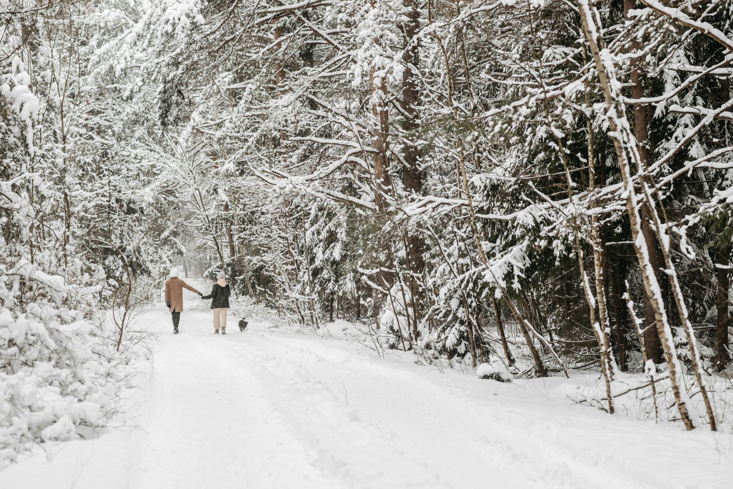 Winter Wellness: Tips for Staying Active During the Winter